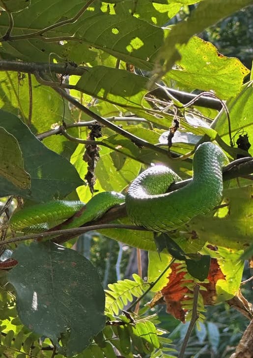 Doi Inthanon National Park